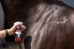 Brokatowy spray do sierści, grzywy i ogona, 250 ml – Excellent Horse Hi Gloss Glitter Spray Orange - obrazek 2