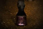 Różowy brokatowy lakier do kopyt, 150 ml – Excellent Horse Hi Gloss Glitter Hoof Polish - obrazek 2