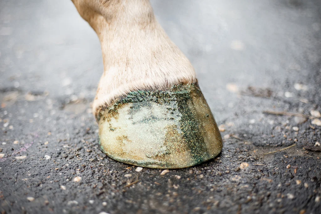 Glitterhoeflak Groen, 150 ml – Excellent Horse Hi Gloss Glitter Hoof Polish - obrazek 3