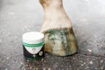 Glitterhoeflak Groen, 150 ml – Excellent Horse Hi Gloss Glitter Hoof Polish - obrazek 4