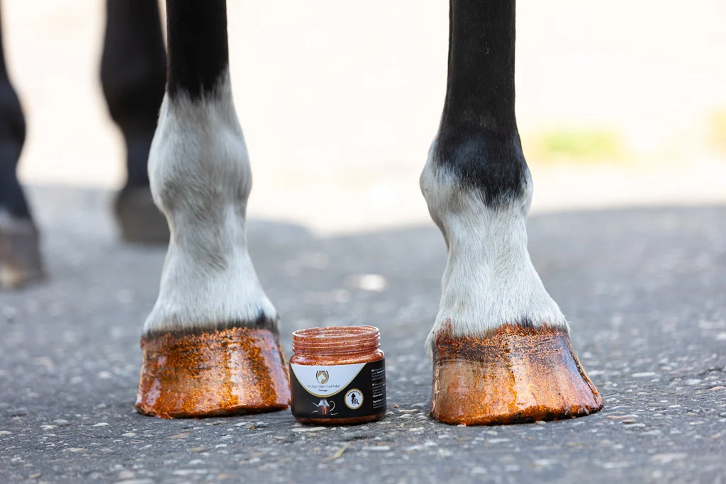 Pomarańczowy brokatowy lakier do kopyt, 150 ml – Excellent Horse Hi Gloss Glitter Hoof Polish - obrazek 3