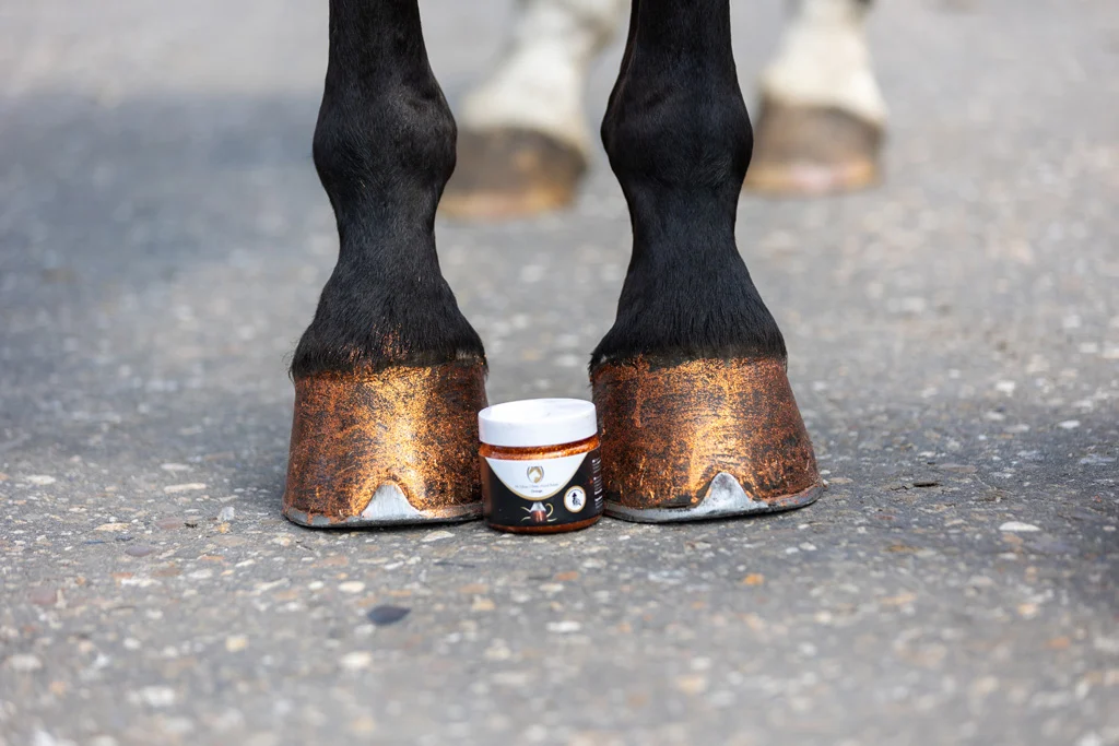 Pomarańczowy brokatowy lakier do kopyt, 150 ml – Excellent Horse Hi Gloss Glitter Hoof Polish - obrazek 2