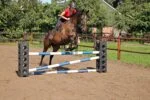 Klocek do przeszkód do treningu skokowego, 41,5 x 30 x 30 cm – Excellent Horse Cube - obrazek 3