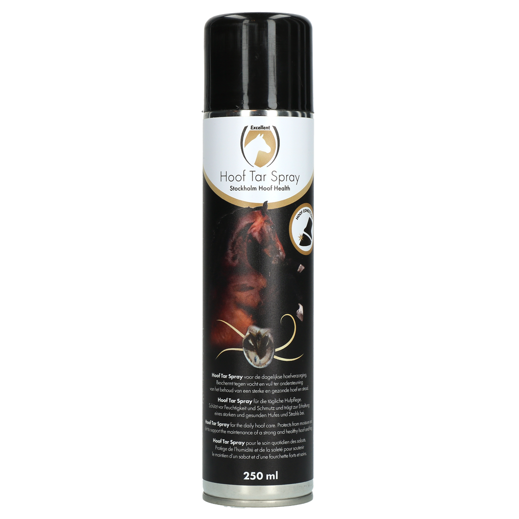 Hoefteerspray voor Dagelijkse Hoefverzorging, 250 ml Spray z dziegciem do codziennej pielęgnacji kopyt, 250 ml