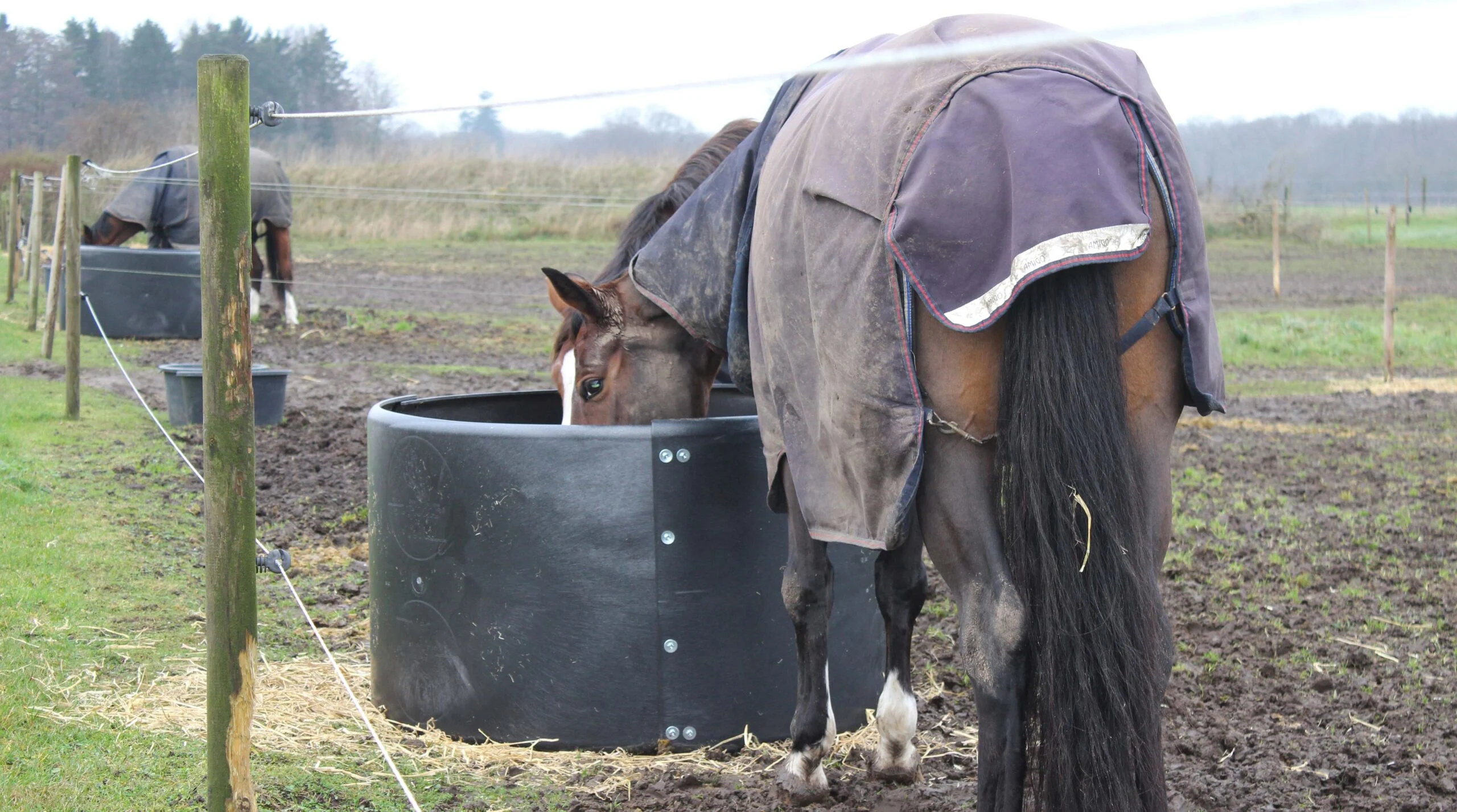Okrągły paśnik na siano dla koni na pastwisku, ø 124–128 cm – Ok-Plast Hooi Ring Feeder - obrazek 1