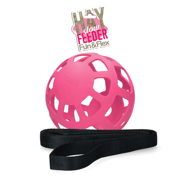 Piłka na siano dla koni z naturalnej gumy, różowa, średnica ok. 22 cm – Hay Slow Feeder Fun & Flex