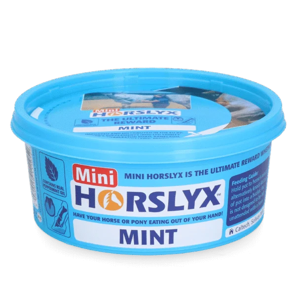 Lizawka dla koni jako nagroda, 650 g – Horslyx Mini Mint