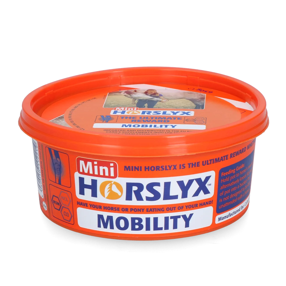HORSL013.png Lizawka dla koni jako nagroda, 650 g – Horslyx Mini Mobilność - obrazek 1