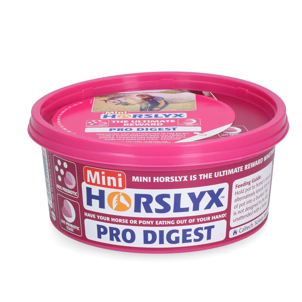 HORSL015.png Lizawka dla koni jako nagroda, 650 g – Horslyx Mini Spijsvertering - obrazek 1
