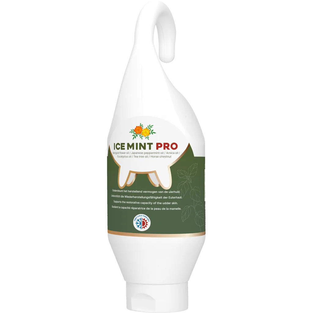 Żel do pielęgnacji wymienia z nagietkiem, 500 ml – Vet Animal Care Ice Mint Pro - obrazek 1