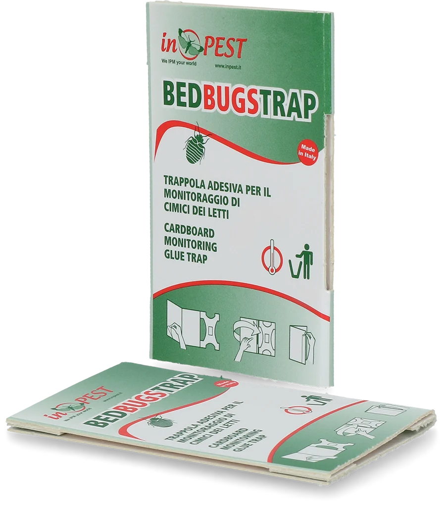 Pułapka monitorująca pluskwy z warstwą klejącą, 16 x 8,5 cm, 10 sztuk – Hofman Pest Control - obrazek 1