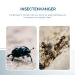 Płytka klejowa na owady w formie książki, czarna, 22 x 17 cm – Hofman Pest Control - obrazek 5