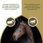Olej paszowy dla koni z Omega 3 i Omega 6, 1 l – Excellent Horse Itch Stop Feed Oil - obrazek 3