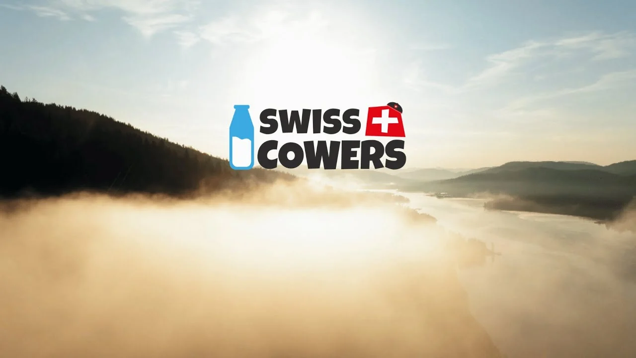 Serowy gryzak dla psa bez laktozy – SwissCowers Cheese Bars Original S - obrazek 4