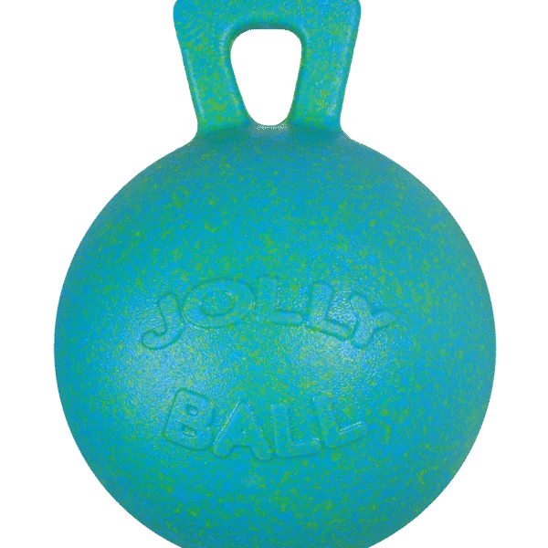 Piłka do zabawy dla konia, morska zieleń, zapach jabłka, 25 cm – Jolly Pets Jolly Ball