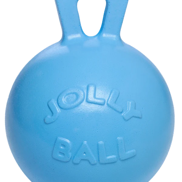 Niebieska piłka do zabawy dla konia o zapachu borówki, 25 cm – Jolly Pets Jolly Ball