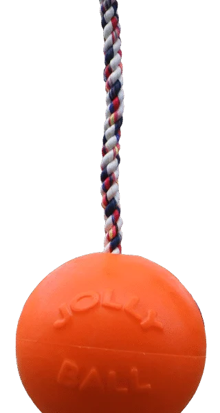 Piłka dla psa z liną, pływająca, waniliowa M (15 cm) – Jolly Pets Romp-n-Roll