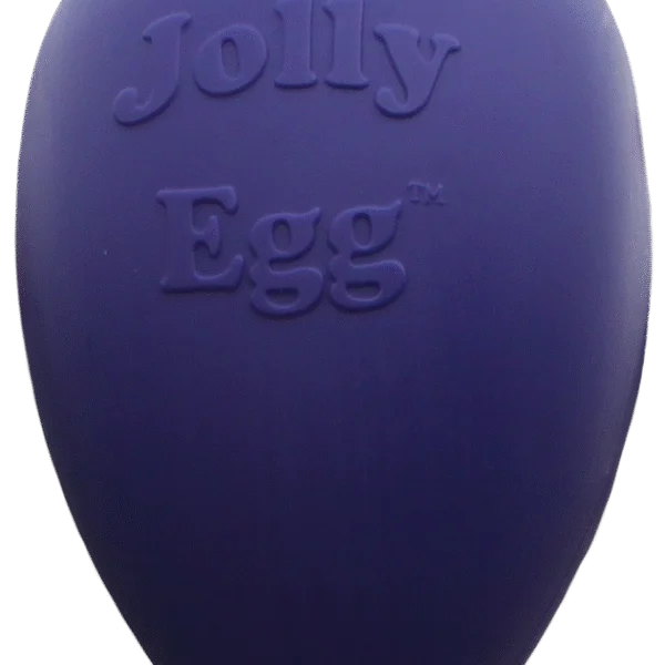 Plastikowe jajko do zabawy dla psa, fioletowe, 20 cm – Jolly Pets Egg