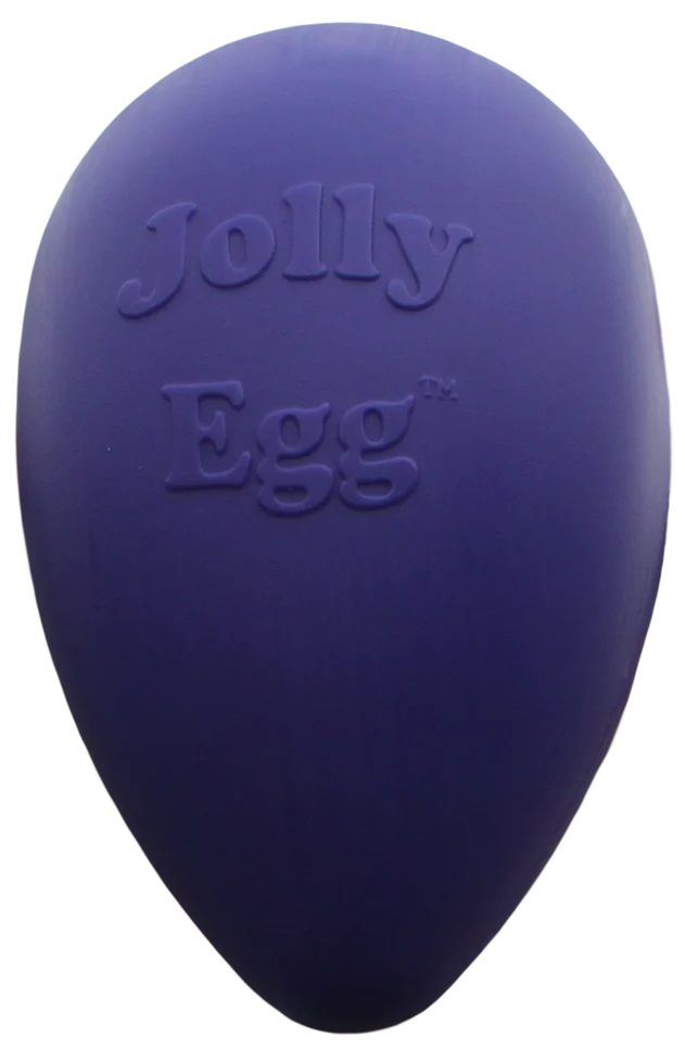 Plastikowe jajko do zabawy dla psa, fioletowe, 20 cm – Jolly Pets Egg - obrazek 1
