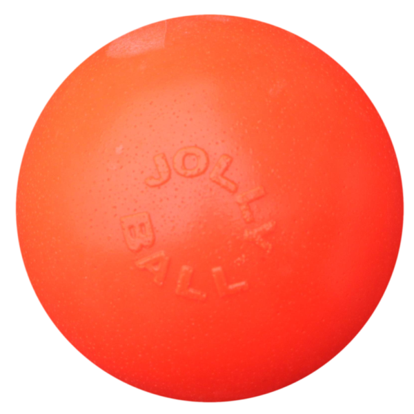 Odbijająca się piłka dla psa Vanille, 15 cm – Jolly Pets Bounce-n Play