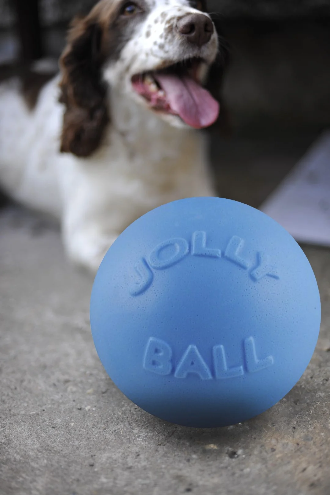 Odbijająca się piłka dla psa, unosząca się na wodzie, jagodowa L, 20 cm – Jolly Pets Bounce-n Play - obrazek 4