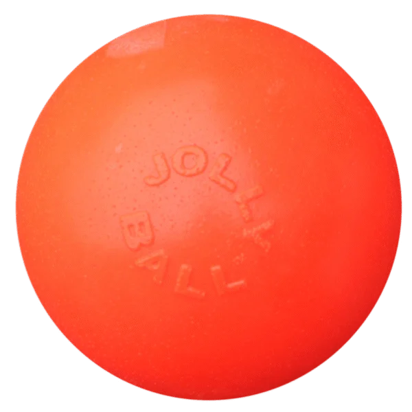 Odbijająca się piłka dla psa, unosząca się na wodzie, waniliowa L, 20 cm – Jolly Pets Bounce-n Play