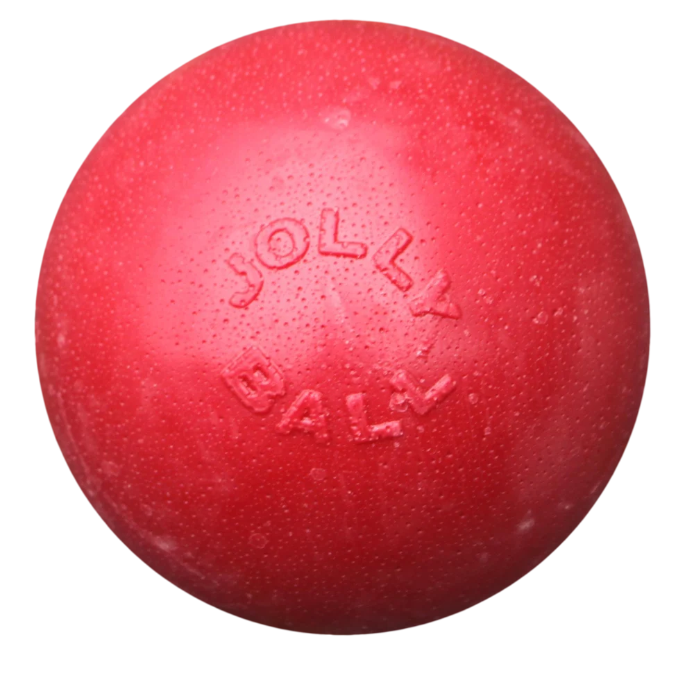 Odbijająca się piłka dla psa, pływająca, czerwona L, 20 cm – Jolly Pets Bounce-n Play - obrazek 1