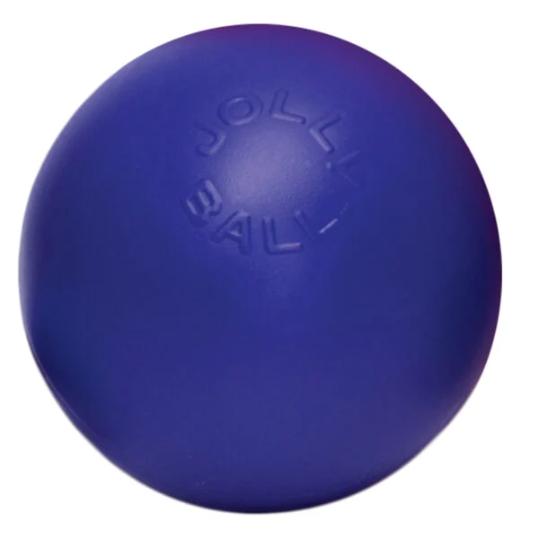 Gładka niebieska piłka dla psa, 15 cm – Jolly Pets Push-n-Play