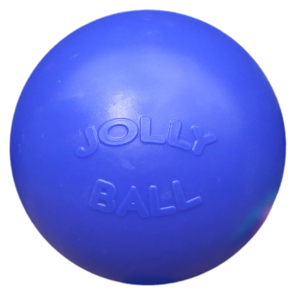 JOLL070B.png Piłka dla psa o gładkiej powierzchni, niebieska, 25 cm – Jolly Pets Push-n-Play - obrazek 1