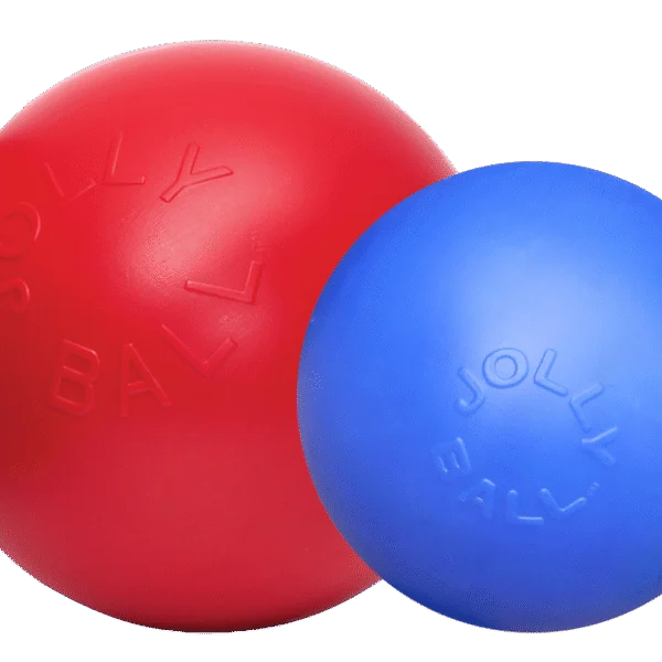 Piłka dla psa o gładkiej powierzchni, czerwona, 25 cm – Jolly Pets Push-n-Play