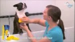Szczotka silikonowa dla psów krótkowłosych, żółta – Pet + Me - obrazek 6