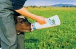 Butelka do pojenia cieląt ze smoczkiem, 2,5 l – Shoof Speedy Feeder - obrazek 2