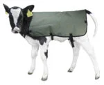 Wodoodporna i oddychająca derka dla cieląt, Private Label, 70 cm – Hofman Animal Care Calf Coat - obrazek 4