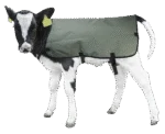 Wodoodporna i oddychająca derka dla cieląt, 80 cm – Hofman Animal Care Calf Coat - obrazek 2