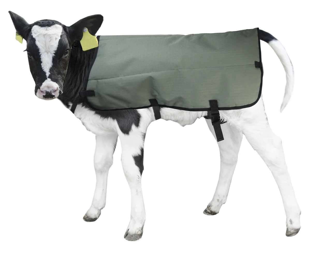 Wodoodporna i oddychająca derka dla cieląt, 80 cm – Hofman Animal Care Calf Coat - obrazek 2