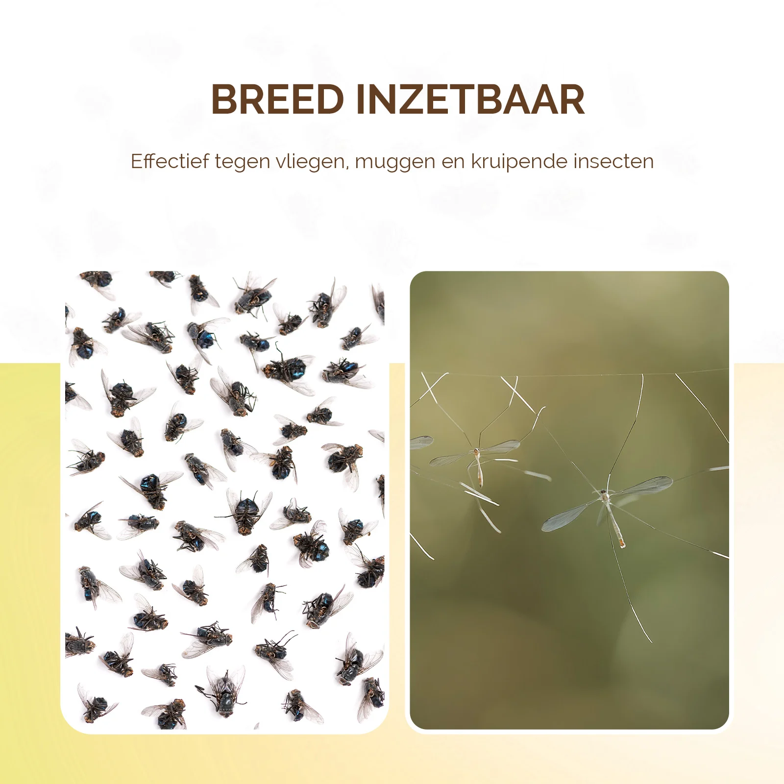 Wkład klejowy do pułapki na owady, bez trucizny, Ø 13,5 cm – Knock Pest - obrazek 3