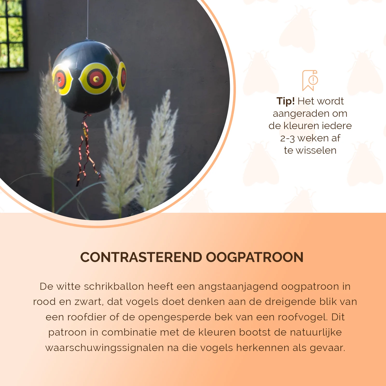 Balon odstraszający ptaki ze sznurkiem do zawieszenia, czarny, Ø 40 cm – Knock Pest - obrazek 5