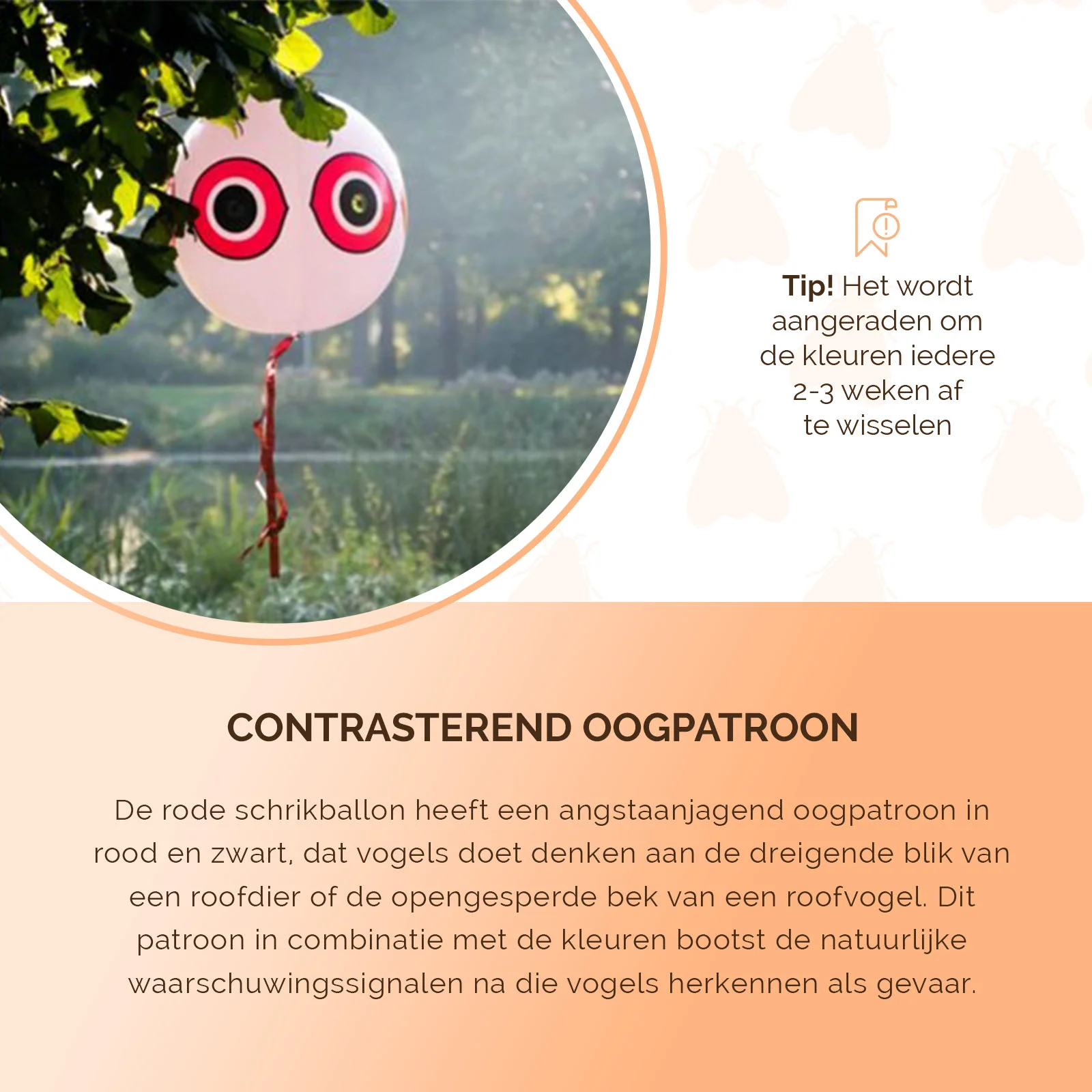 Balon odstraszający ptaki ze sznurkiem do zawieszenia, czerwony, Ø 40 cm – Knock Pest - obrazek 4