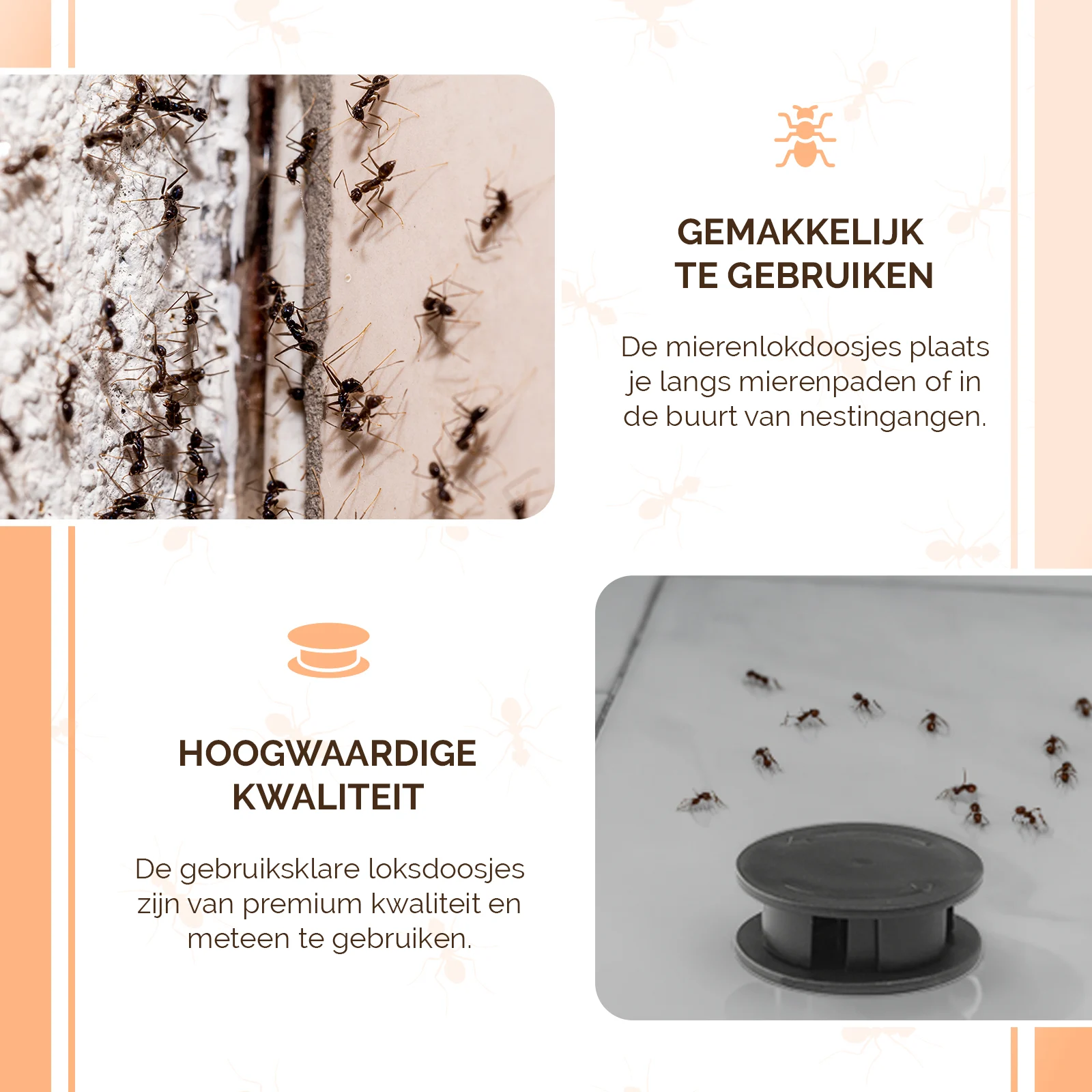 Pułapka na hurtnice pospolite, 2 sztuki – Knock Pest - obrazek 5