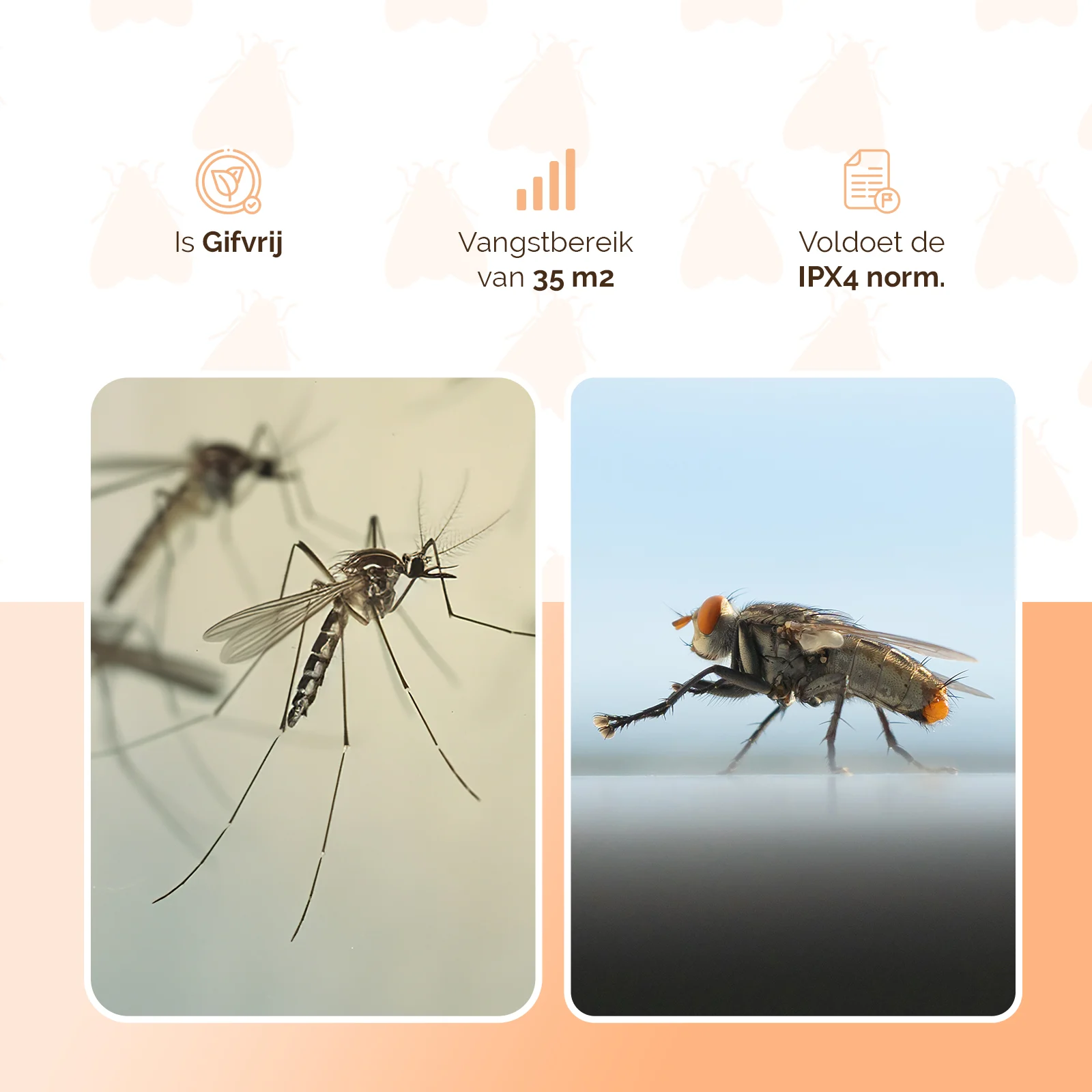 Lampa owadobójcza z UV-A i kratką rażącą prądem, 5 W – Knock Pest Insect Killer - obrazek 3