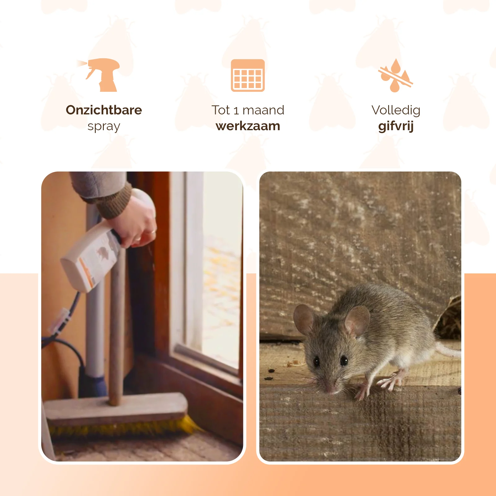 Spray odstraszający myszy do wnętrz, 250 ml – Knock Pest BlijfWeg Muis - obrazek 3