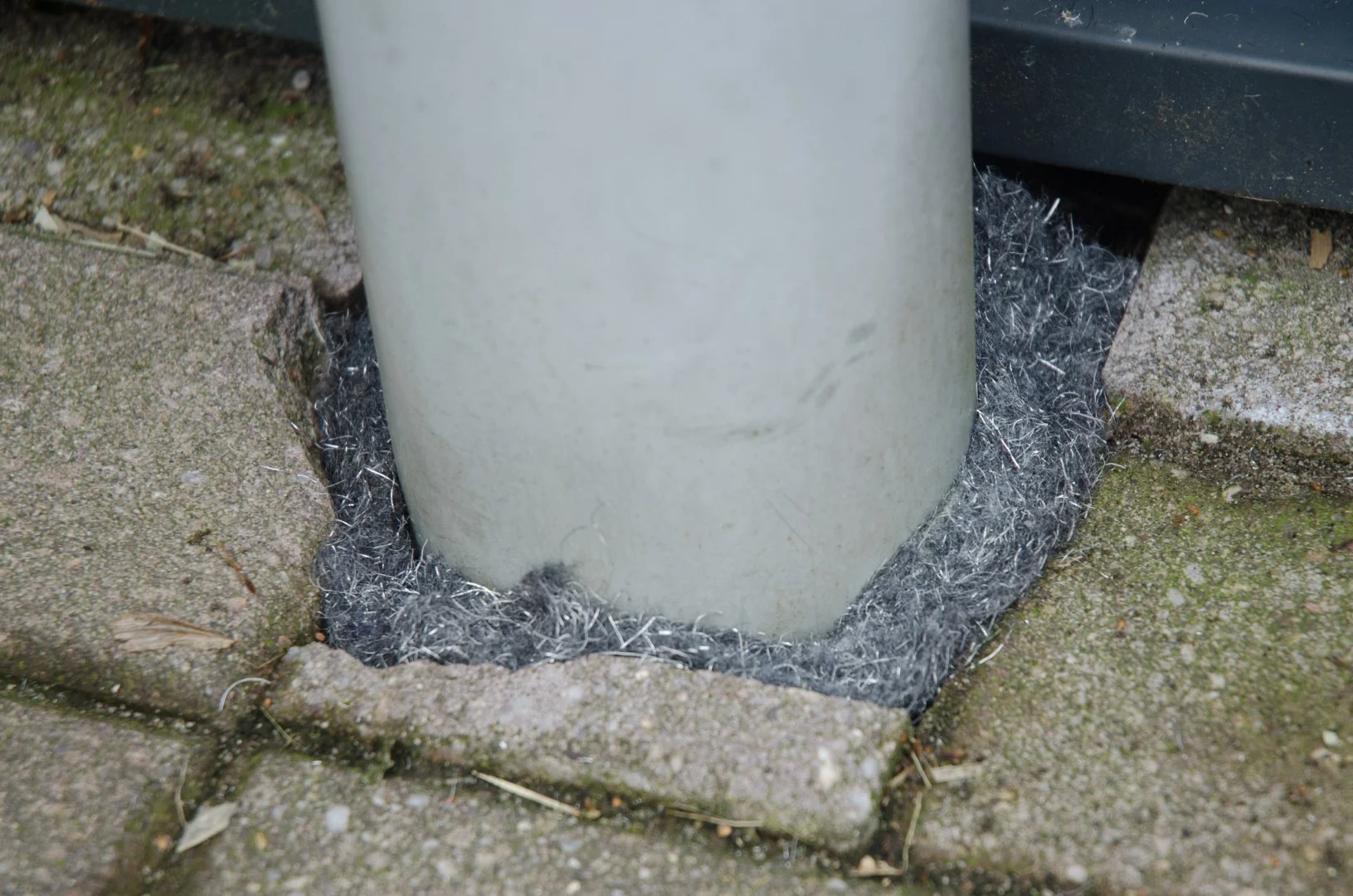 Taśma zabezpieczająca przed szczurami i myszami 5 m – Knock Pest Rodent Defense - obrazek 2