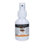 Spray do otoczenia przeciw pchłom, wszom i kleszczom, 100 ml – Knock Pest Spray do otoczenia