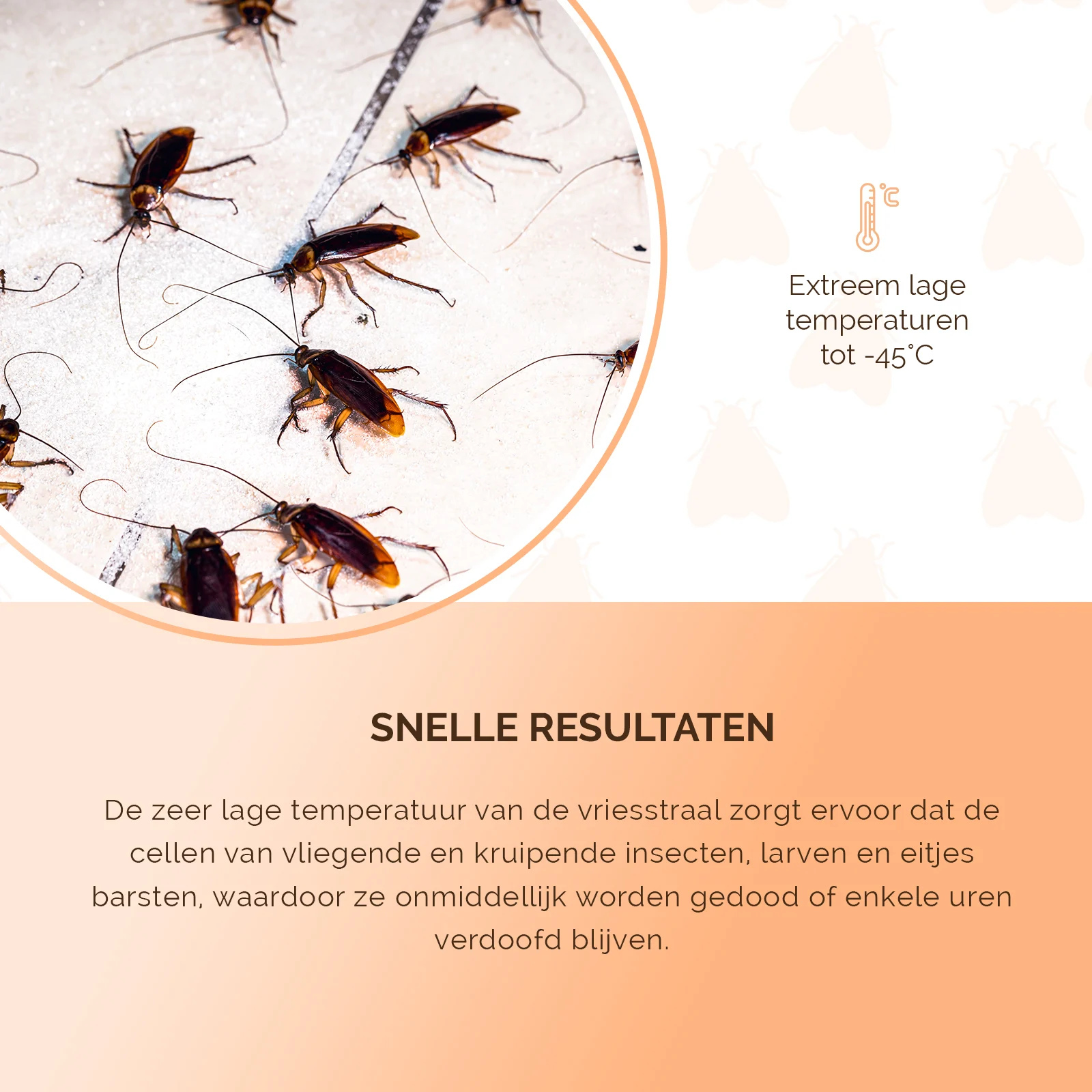 Spray zamrażający owady z dwoma trybami oprysku – Knock Pest Freeze It - obrazek 5
