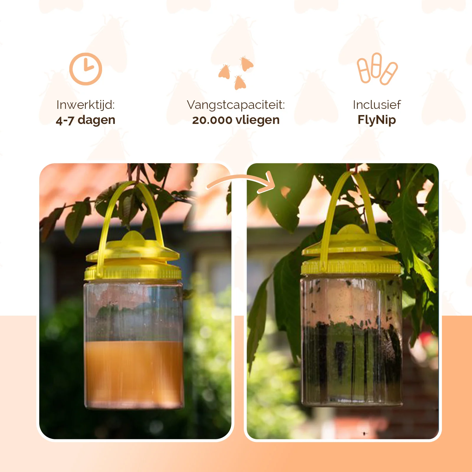 Pułapka na muchy z przynętą do użytku na zewnątrz, 2 l – Knock Pest FlyNip - obrazek 3
