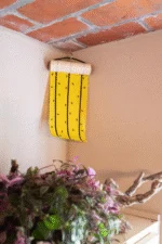 Żółta rolka lepowa na muchy 5 m x 15 cm – Knock Pest - obrazek 5