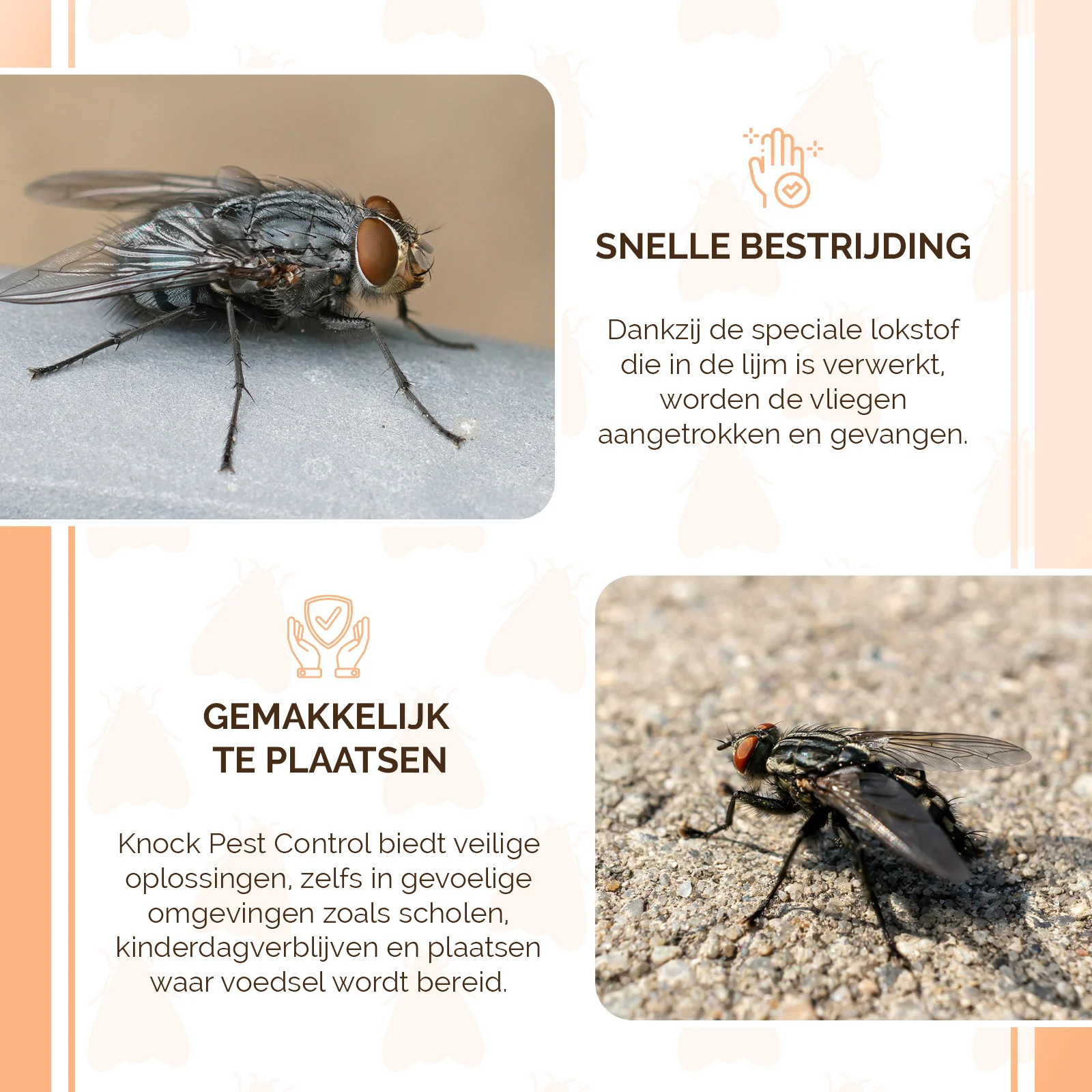 Pułapka okienna na muchy, przezroczysta, 4 sztuki – Knock Pest - obrazek 3