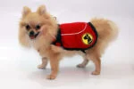 Kurtka dla psa przeciw kleszczom i pchłom z odblaskiem, XXXS, długość grzbietu 25 cm – Dog Armor Knockdown Coat (Insect Shield) - obrazek 2