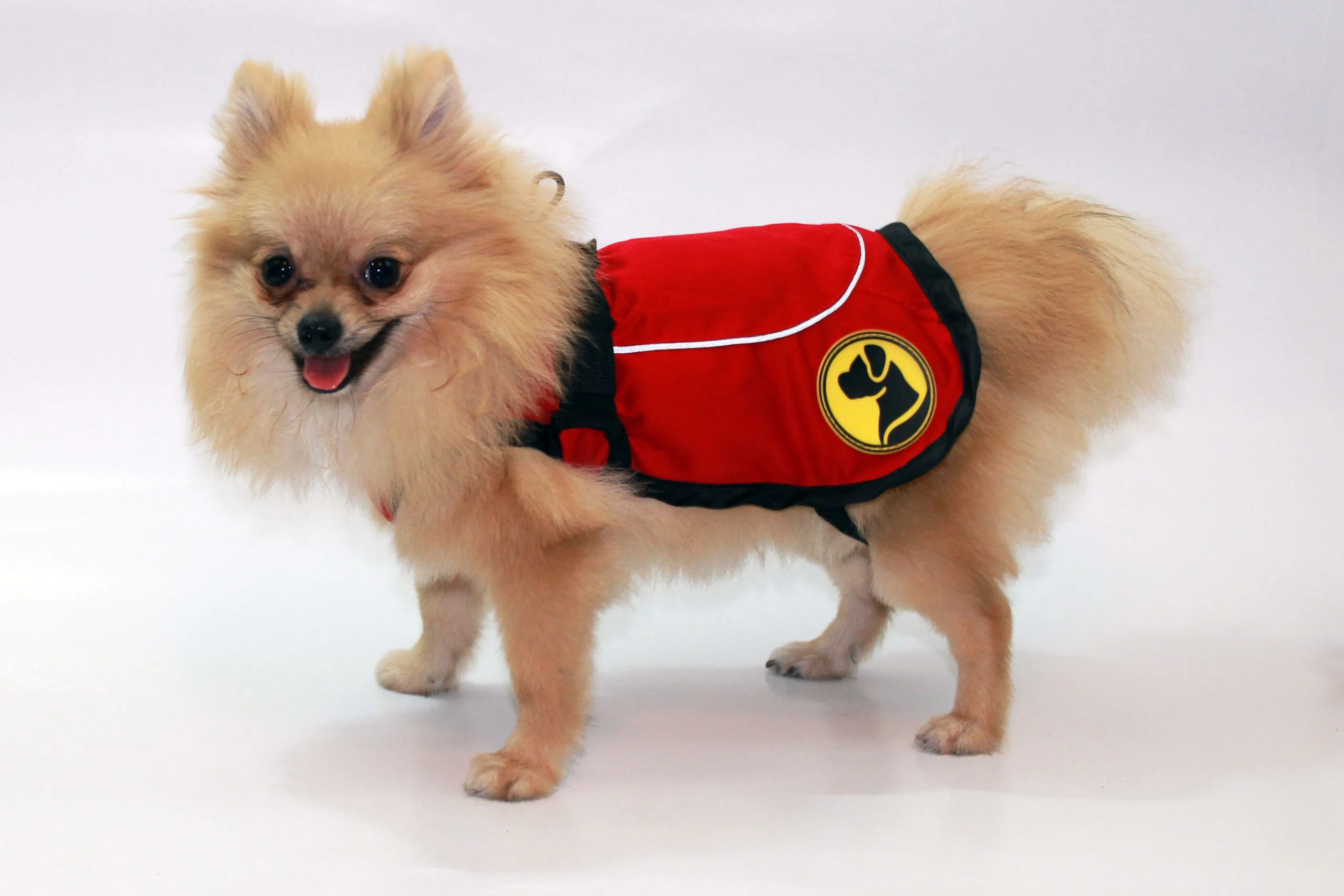Kurtka dla psa przeciw kleszczom i pchłom z odblaskiem, XXXS, długość grzbietu 25 cm – Dog Armor Knockdown Coat (Insect Shield) - obrazek 2