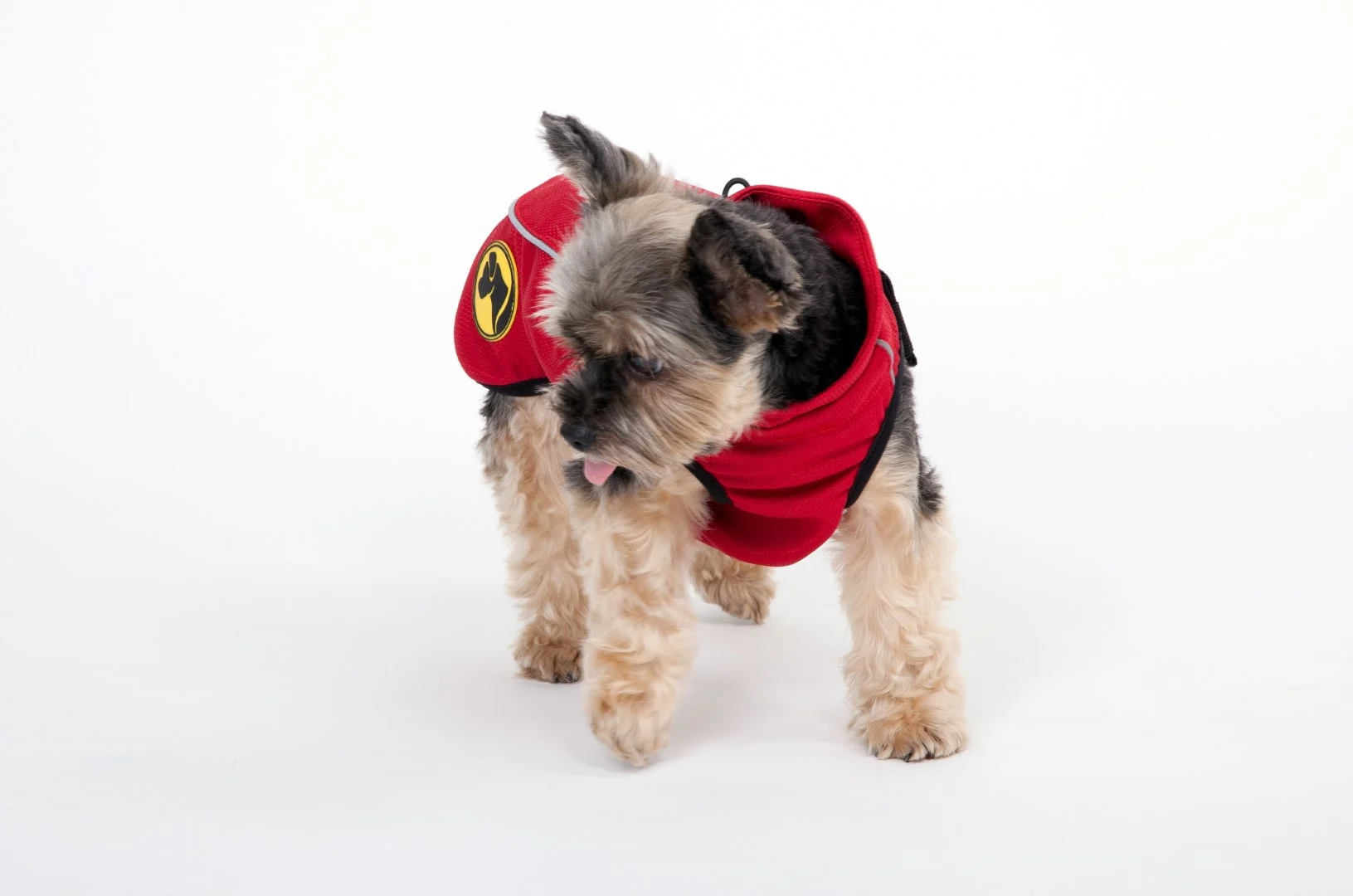 Kurtka dla psa przeciw kleszczom i pchłom z elementem odblaskowym, XXXXS, długość grzbietu 20 cm – Dog Armor Knockdown Coat (Insect Shield) - obrazek 6